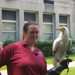 Hawk Creek animal handler with Egyptian vulture