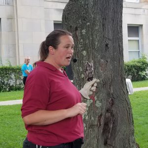 Hawk Creek animal handler with Eastern Screech Owl