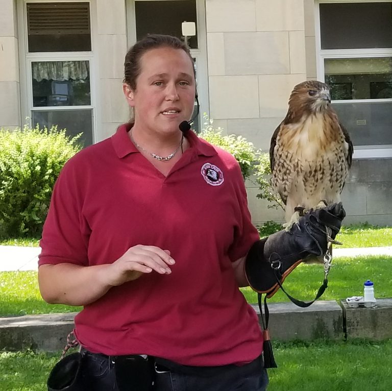 Hawk Creek animal handler with hawk speaks to crowd