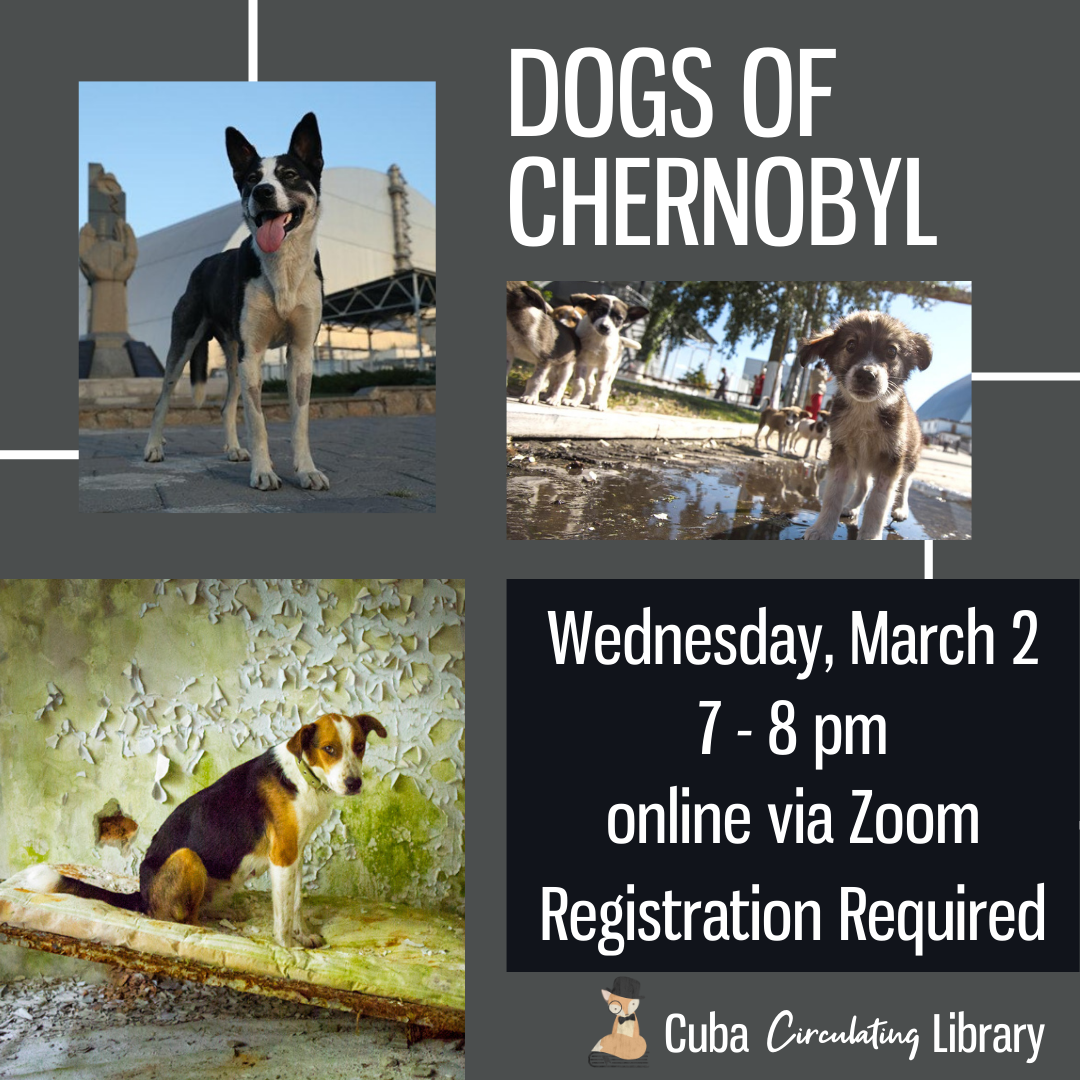 Dogs of Chernobyl