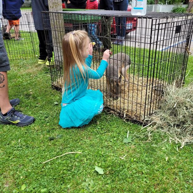 girl crouches by animal cage to feed Patagonian cavy