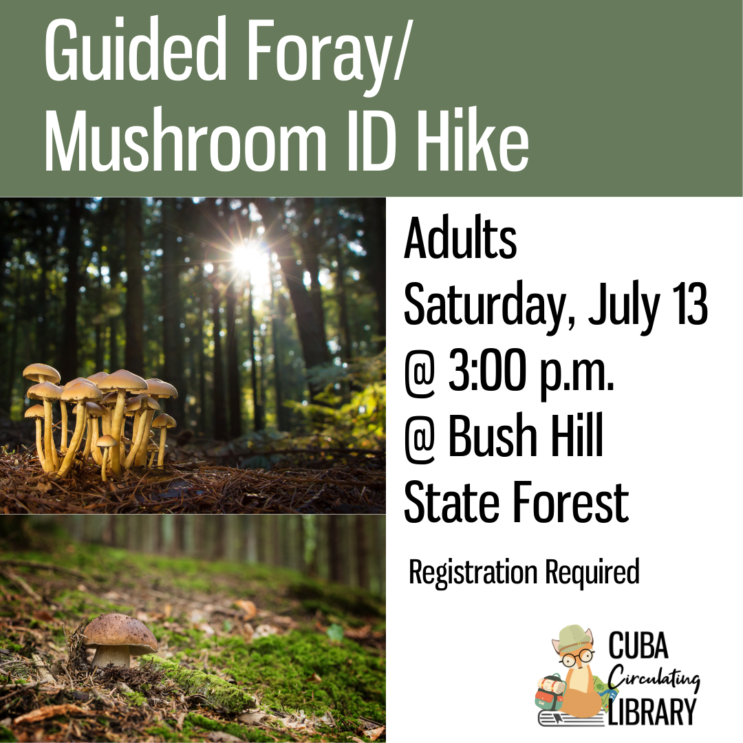 Guided Foray/Mushroom ID Hike