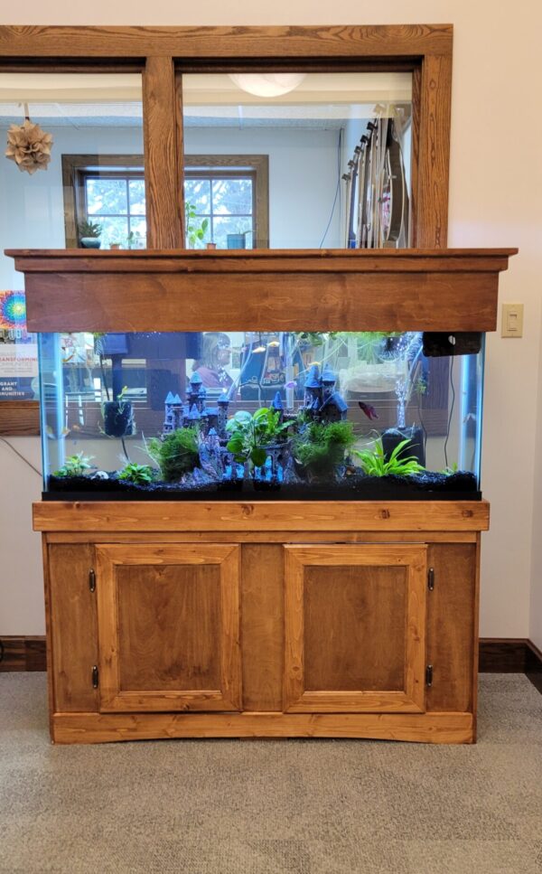 A large wooden fish tank with live plants and a castle structure inside, placed in a carpeted room with a window behind it.