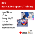 BLS: Basic Life Support Training