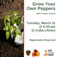 Flyer for 'Grow Your Own Peppers' event with a photo of a person planting a pepper seedling
