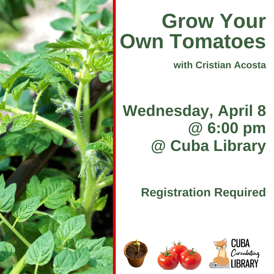 Grow Your Own Tomatoes