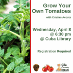Grow Your Own Tomatoes