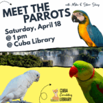Meet the Parrots
