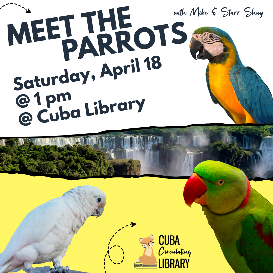 Meet the Parrots