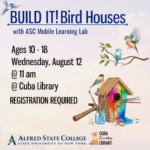 BUILD IT! Bird Houses